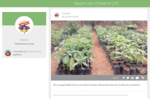 Treedom Baum Bild aus Baumschule